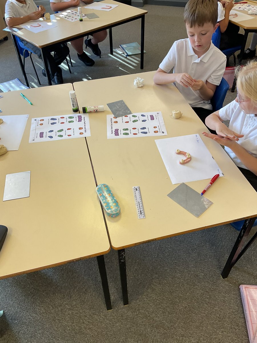 AcklamWhin's tweet photo. Year 4 learned about teeth this afternoon, exploring the different shapes they are and the specific jobs they do. We worked in groups to create a set of teeth using salt dough. #science #wearescientists #animalsincludinghumans #teeth #class10 https://t.co/xp5fntL9XG