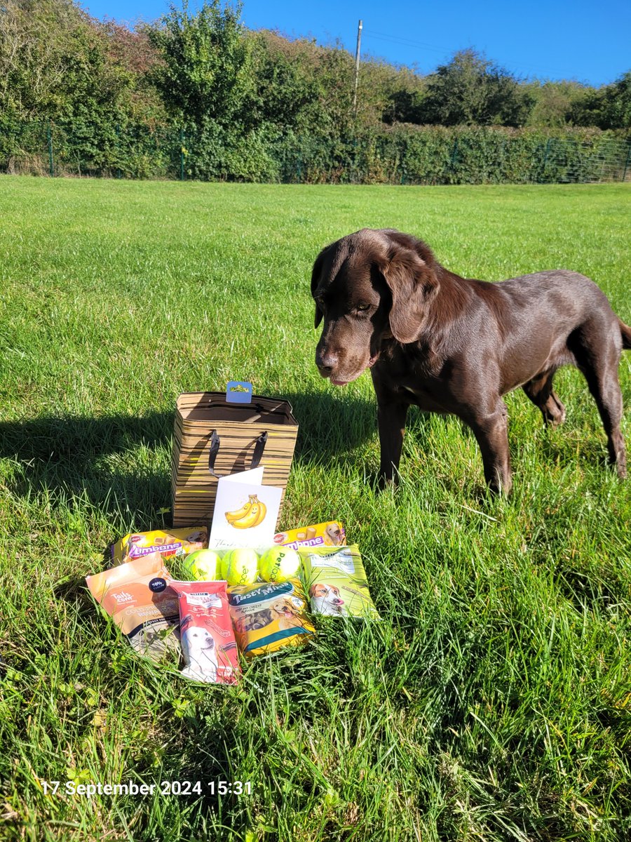 PD Ted, on behalf of his doggy colleagues and handlers, receiving some treats for visiting and assisting in the #MiniPolice project over that past 12 months. 

Many thanks to mini police co-ordinator for gifting these to us. 

Don't worry they aren't all for Ted!
