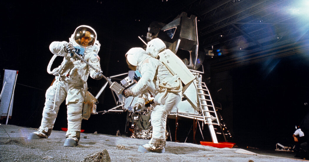 Brendan M. Lynch 🌻 tweet media