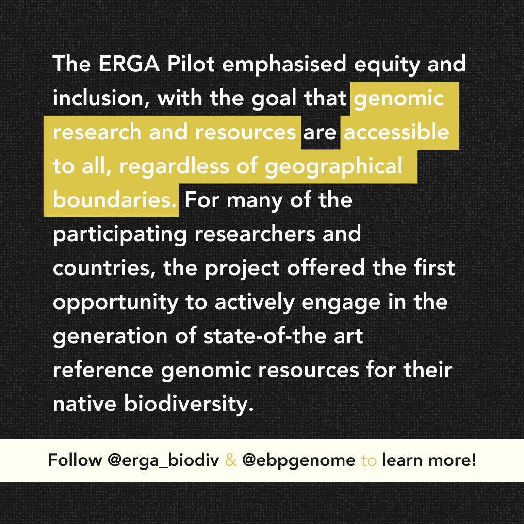 Earth BioGenome Project (@ebpgenome) on Twitter photo The <a href="/erga_biodiv/">European Reference Genome Atlas</a> Pilot Project reports its success in uniting researchers from across Europe to produce high-quality reference genomes for 98 species. This continental effort is setting the stage for a new, inclusive and equitable model for biodiversity genomics. The <a href="/erga_biodiv/">European Reference Genome Atlas</a> Pilot Project reports its success in uniting researchers from across Europe to produce high-quality reference genomes for 98 species. This continental effort is setting the stage for a new, inclusive and equitable model for biodiversity genomics.