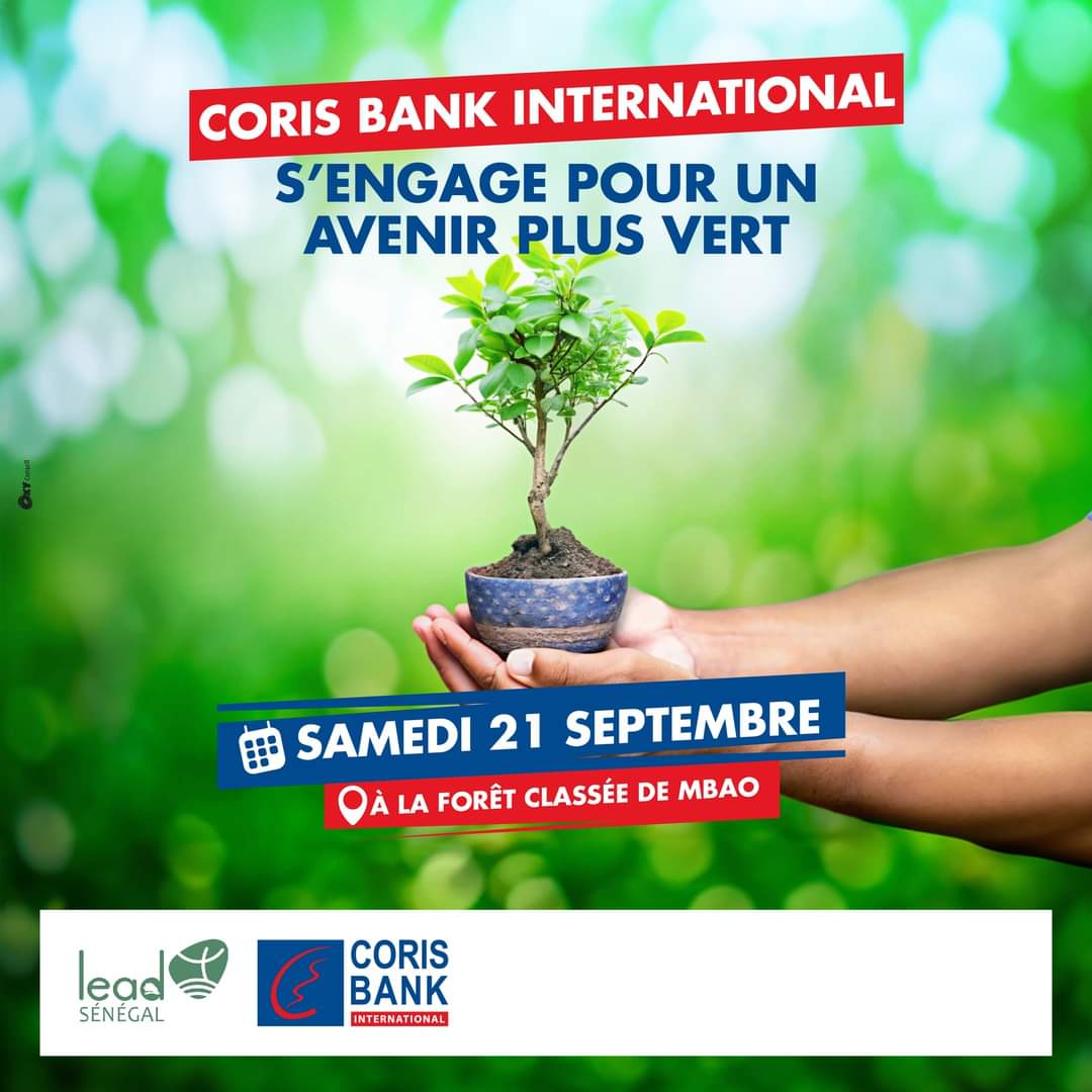 jalybadiane's tweet photo. En collaboration avec Lead Sénégal, @cbisenegal organise une journée dédiée à la protection de l'environnement.

Rejoignez-nous ce samedi 21 septembre à partir de 9h à la forêt classée de Mbao.

Ensemble, faisons la différence pour les générations futures !
#EcoResponsabilité #Dakar #kebetu #ecologie 

@SenegalLead