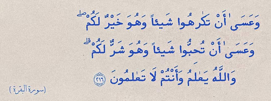 نُسَيبة (@nosaibayoussef) on Twitter photo 