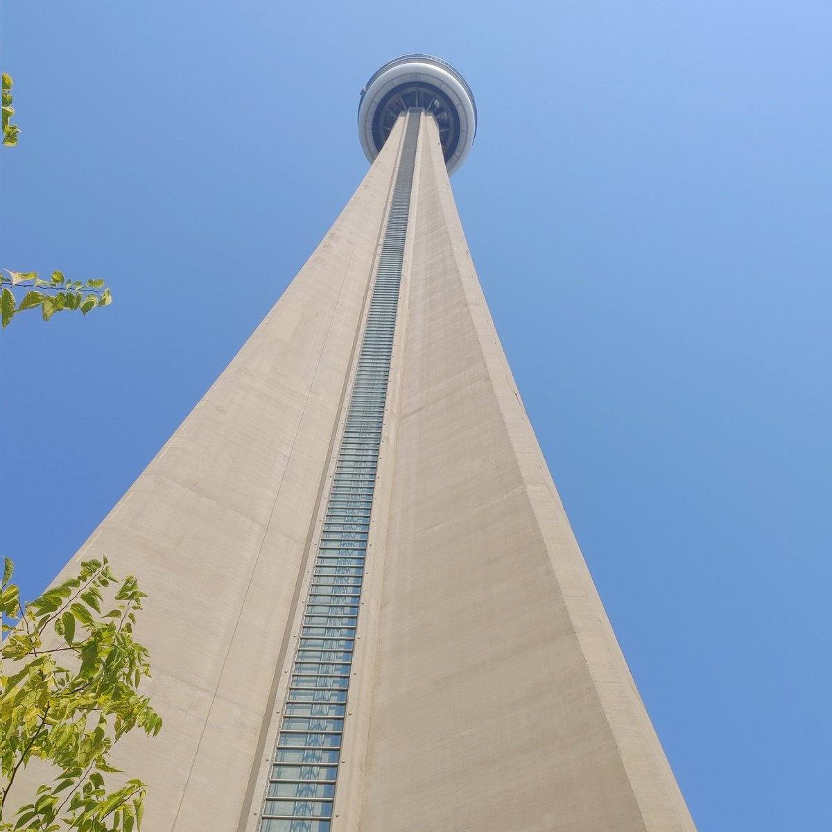 JesseOilersFan's tweet photo. Went to Toronto on the Weekend, for the first time went on the CN Tower. I love heights so I can just stay up there forever lol.

Anyways today's my birthday. Birthday wishes would love to see @EdmontonOilers lift Lord Stanley Cup next year June 2025. @Ravens 0-2 wake up!! https://t.co/C5qzEEuYqk