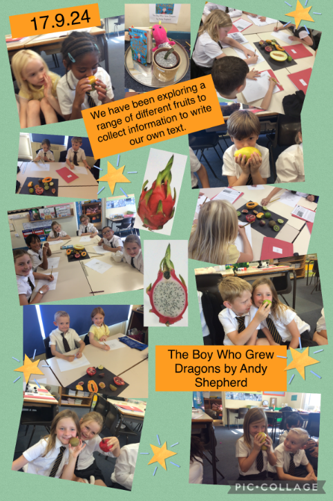 Stjohnscoventry's tweet photo. Year 3 have been exploring a range of exotic fruits as part of their work on 'The Boy Who Grew Dragons' by Andy Shepherd. They have investigated and sketched them in preparation to write their own information text. #andyshepherd #boywhogrewdragons https://t.co/XDTLpT9ByN