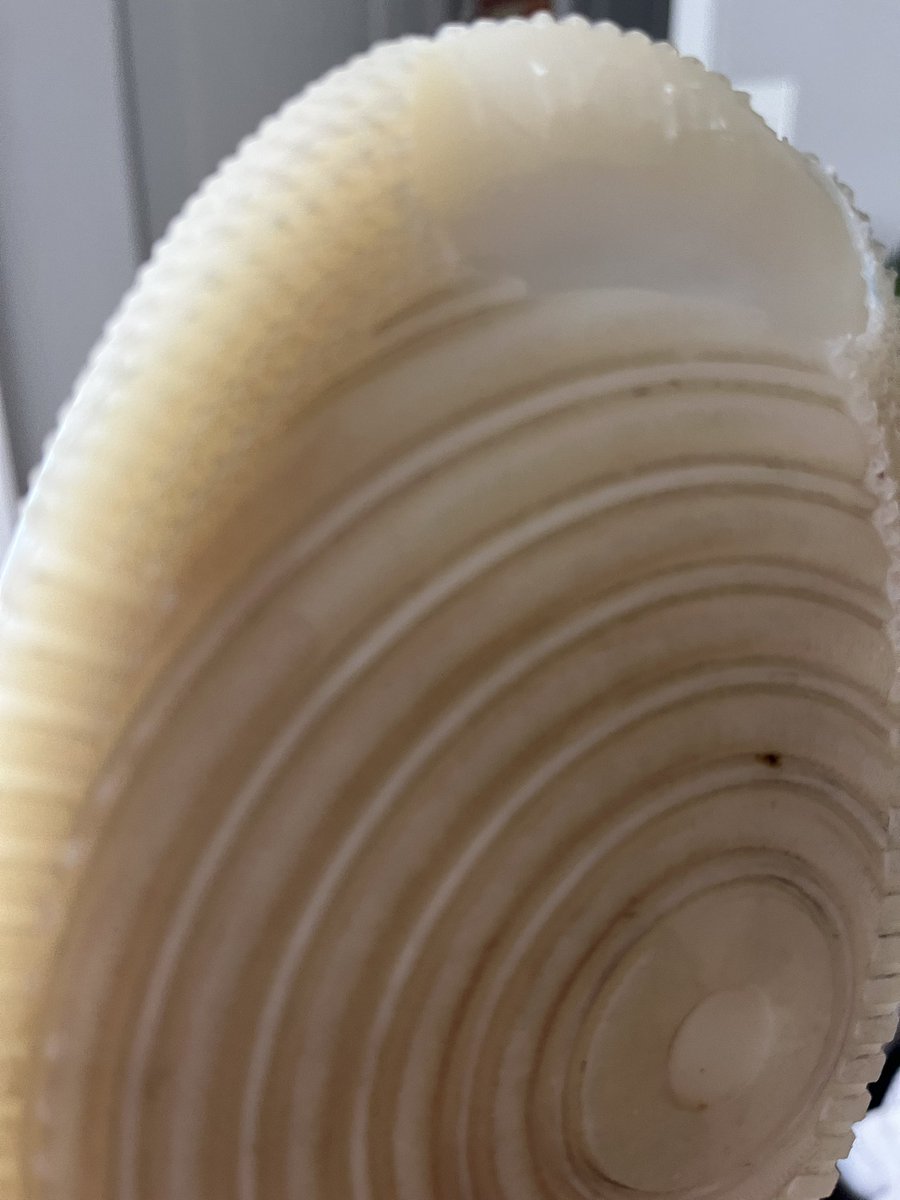 DaniellePagan's tweet photo. Tried to exchange these sneaks purchases 9 days ago and @snipes_usa refused to exchange them because they they weren’t new. Obviously they were worn, but they are defective! You can clearly tell the sole is practically new otherwise. https://t.co/0aTg7dPlf8