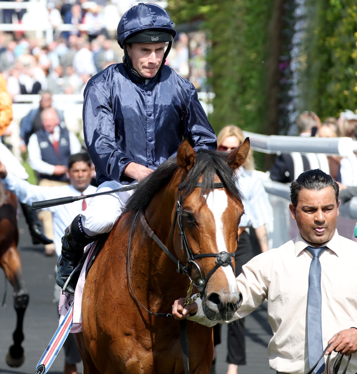 Latest on Dee Stakes winner CAPULET, trained by Aidan O'Brien. 

🇭🇰  Renamed to ROMANTIC THOR
🐎 Currently in training with Danny Shum
🏆 Stablemate of ROMANTIC WARRIOR

One to watch. 👀 #HKRacing