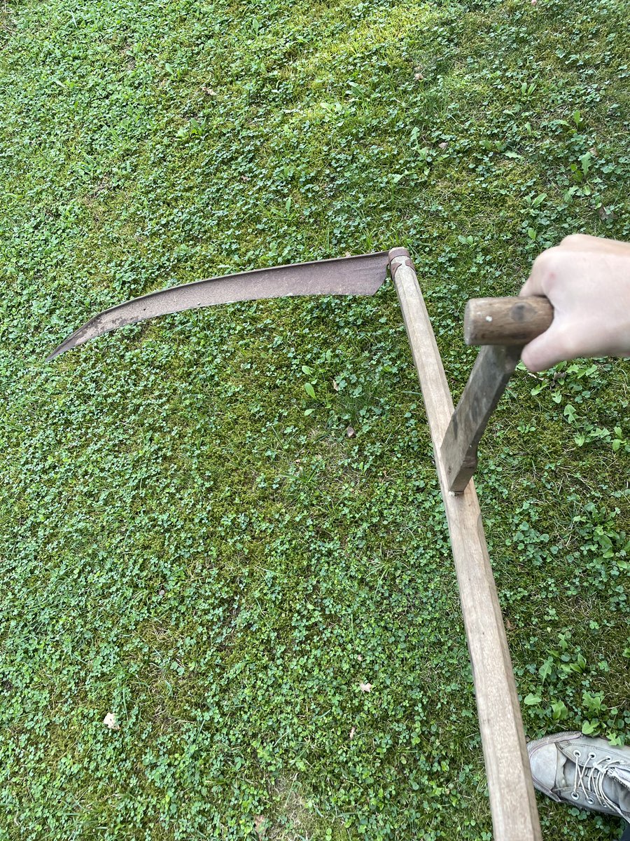 BloodyBaronessCos tweet media