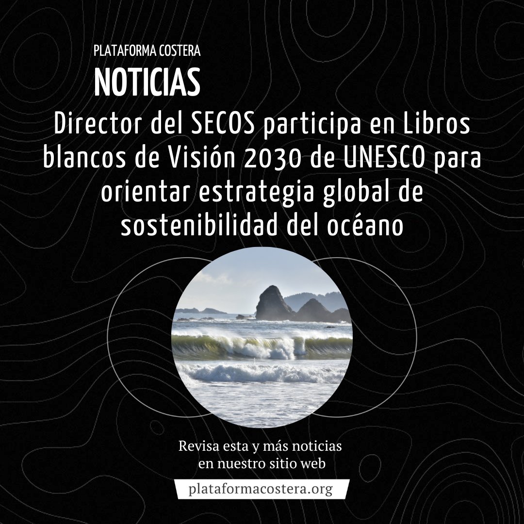 #Noticia 📰

✔ Más de 150 expertos se unieron en Visión 2030 para crear 10 Libros Blancos con soluciones urgentes para proteger nuestros océanos, dentro de los que se encuentra el director del @institutosecos, Stefan Gelcich.

👇
plataformacostera.org/noticias/direc…