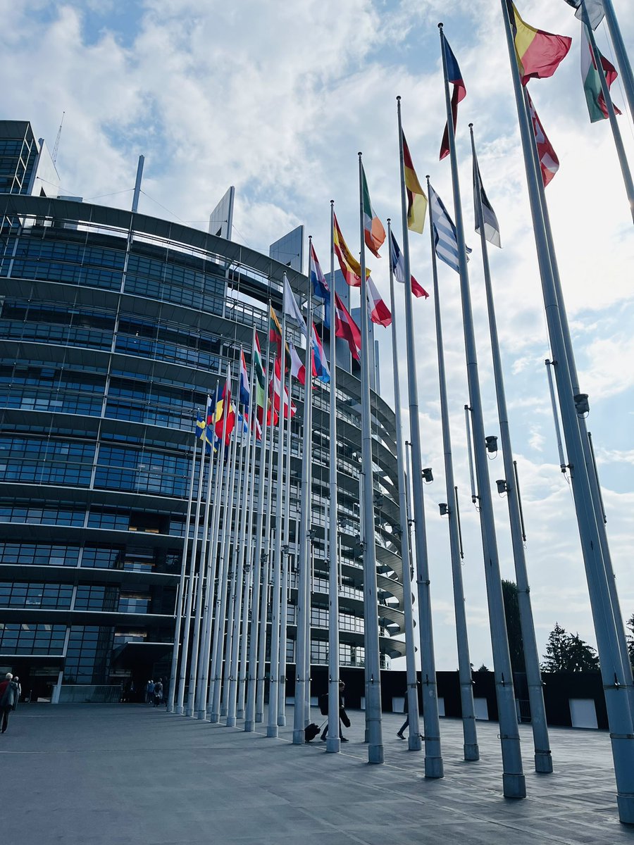 👷‍♀️urgent action needed to save #steel in Europe. European social partners <a href="/industriAll_EU/">industriAll Europe</a> and <a href="/EUROFER_eu/">European Steel</a> calling on MEPs to support a EU steel action plan. Great to see <a href="/EuropaJens/">Jens Geier</a> in Strasbourg today, a big supporter of steel and steel workers #SteelNeedsEuropeNeedsSteel