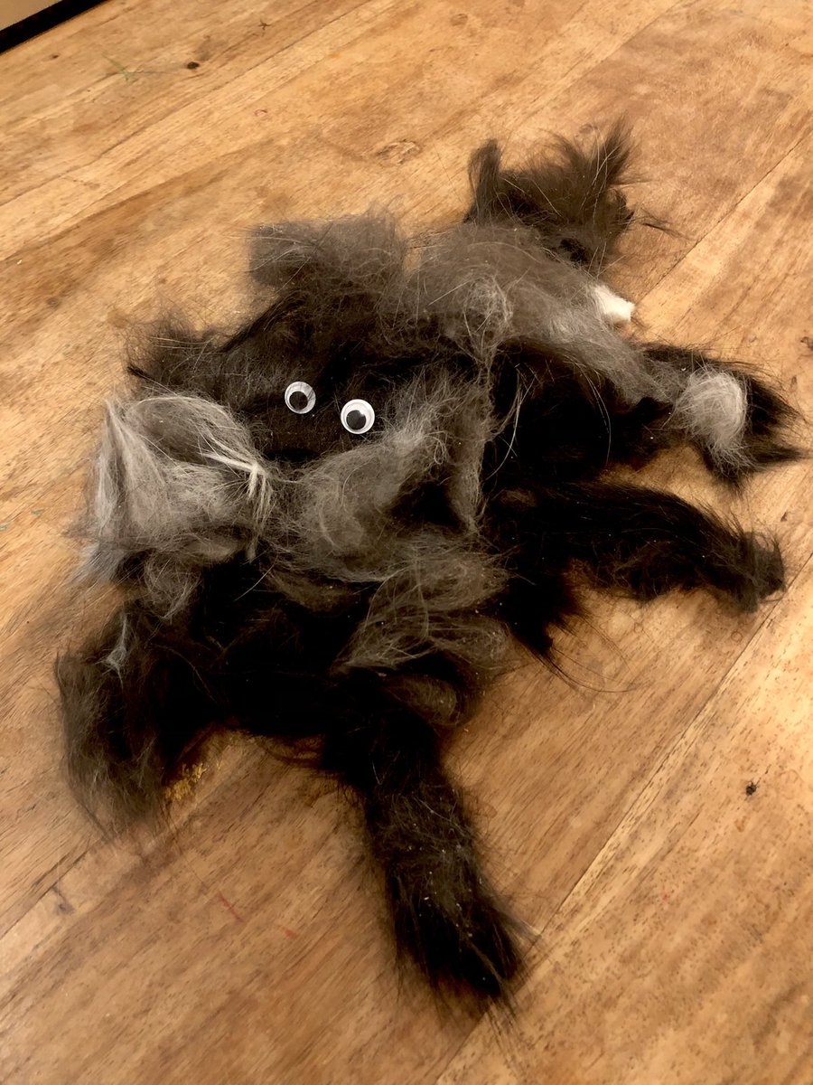 Brushed the cat. Made a new cat. Now I just need a lightening bolt to bring the Frankefeline to life.  

It is nothing but fur. No bones, no muscles, no connective anything. It would just have to float around like a dust bunny.