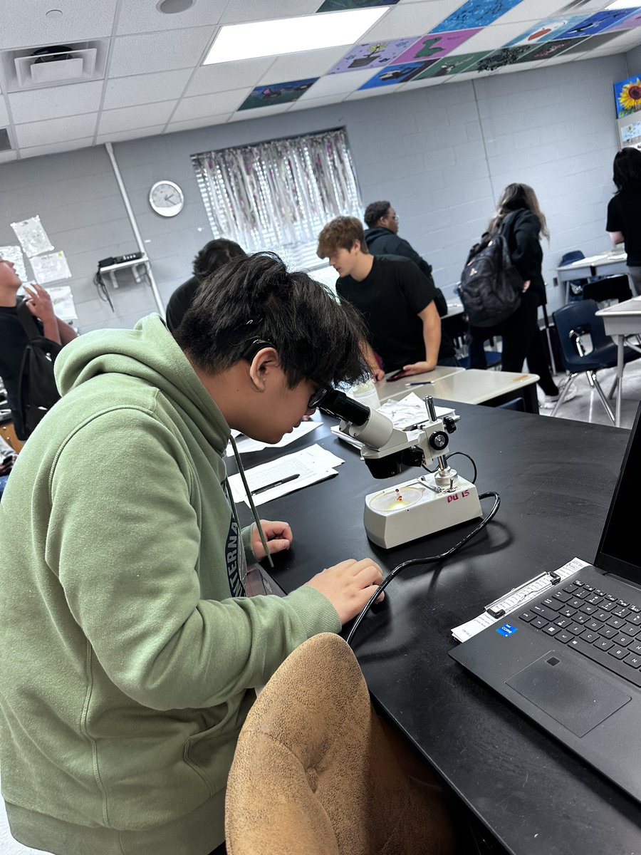 Summer King tweet media