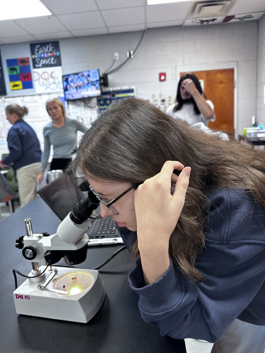 Summer King tweet media