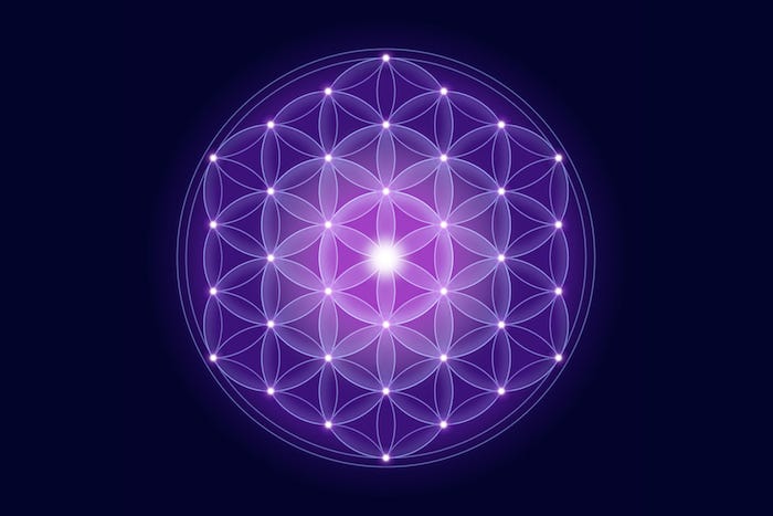 Sol Roots tweet media