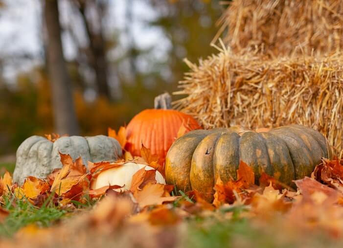 70+ Free &amp; Creative October Marketing Ideas (+Examples!) dlvr.it/TDLjBG