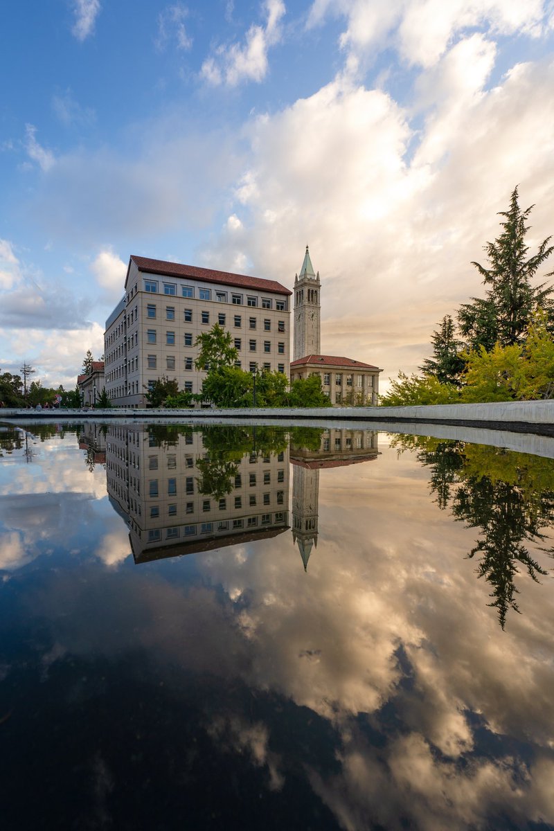 Jesse cortes tweet media