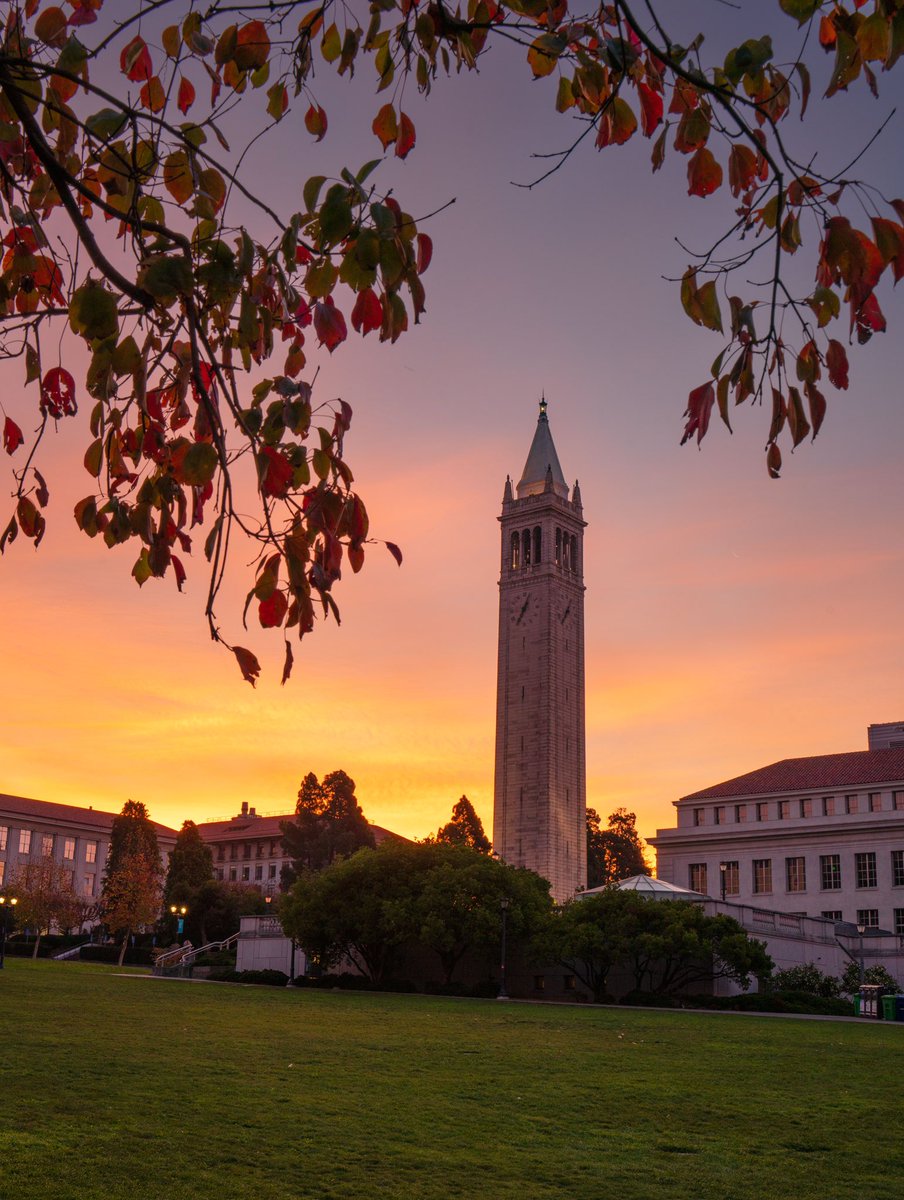 Jesse cortes tweet media