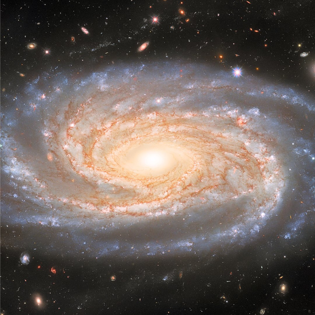 #NGC7038, a #spiral #galaxy that lies in the #constellation of #Indus, located about some 220 million #lightyears away, this image in a compilation of 15 hours worth of images.

#astronomy #space #nasa #astrophotography #universe #science #cosmos #hubble #webb #nature #stars