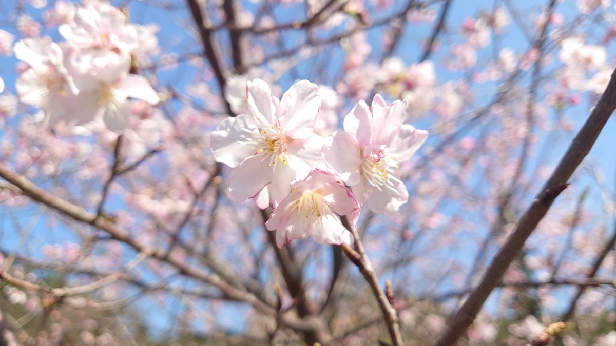 今天
希望我不是我。
很久沒有這麼絕望跟無價值感了

抗拒入睡
好像是害怕明天