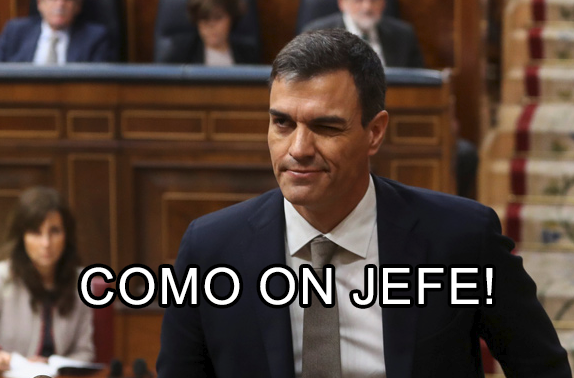 DG MEME 🇪🇺 tweet media