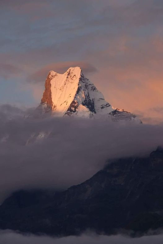 GORSKI_SWIAT's tweet photo. #Machhapuchhare 6993m #Nepal
#Nepal_Mountain https://t.co/hzXoBaJnfr