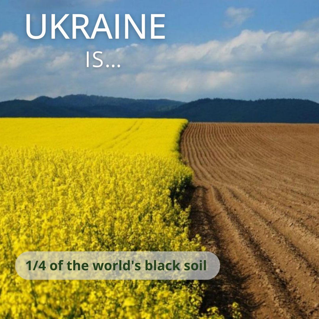Ukraine️'s black soil accounts for 1/4 of the world's black soil.
Thanks to these soils, #Ukraine️ is one of the largest grain exporters.