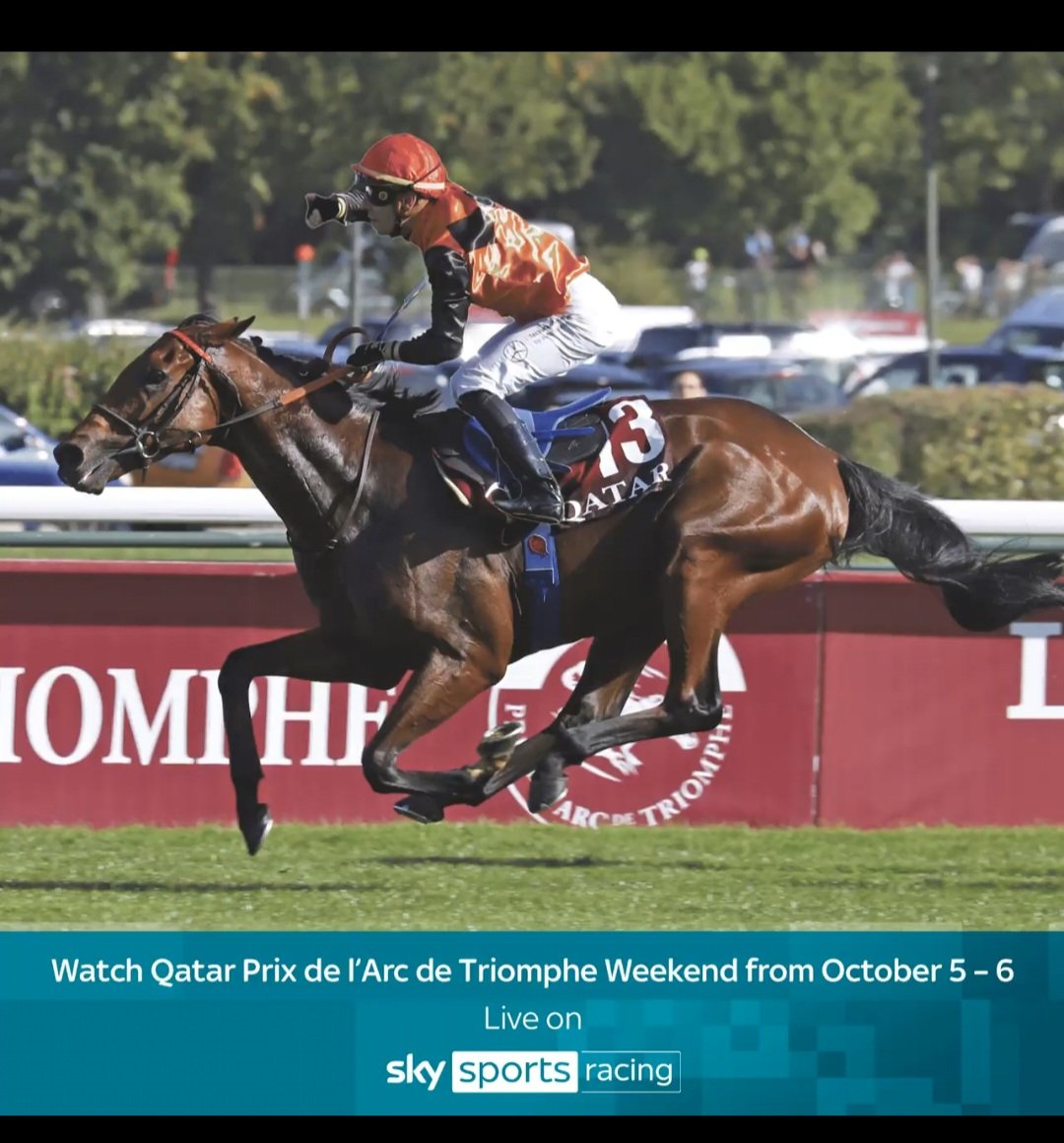 sidp1995's tweet photo. @AtTheRaces @paris_longchamp https://t.co/Whug5dOiVW