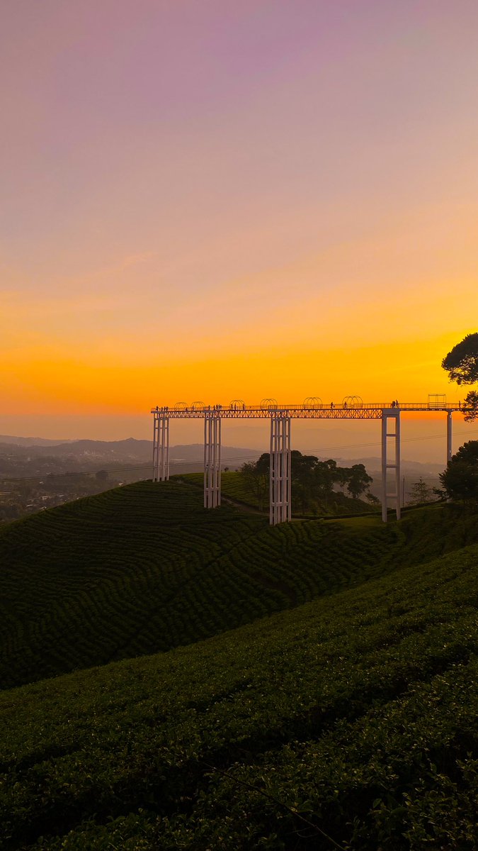 Manceu ♛ tweet media