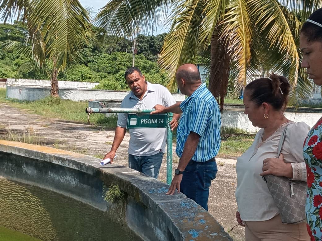 AlbertoLopezcu's tweet photo. Visitamos la Empresa de Desarrollo de Tecnologías Acuícola enclavada en el municipio del Cotorro, apreciamos falta de resultados y control.
Están carentes además de una estrategia para aprovechar las potencialidades con que cuenta
Hicimos un llamado al orden.
#MinalXMásAlimentos https://t.co/UIbw59p58R