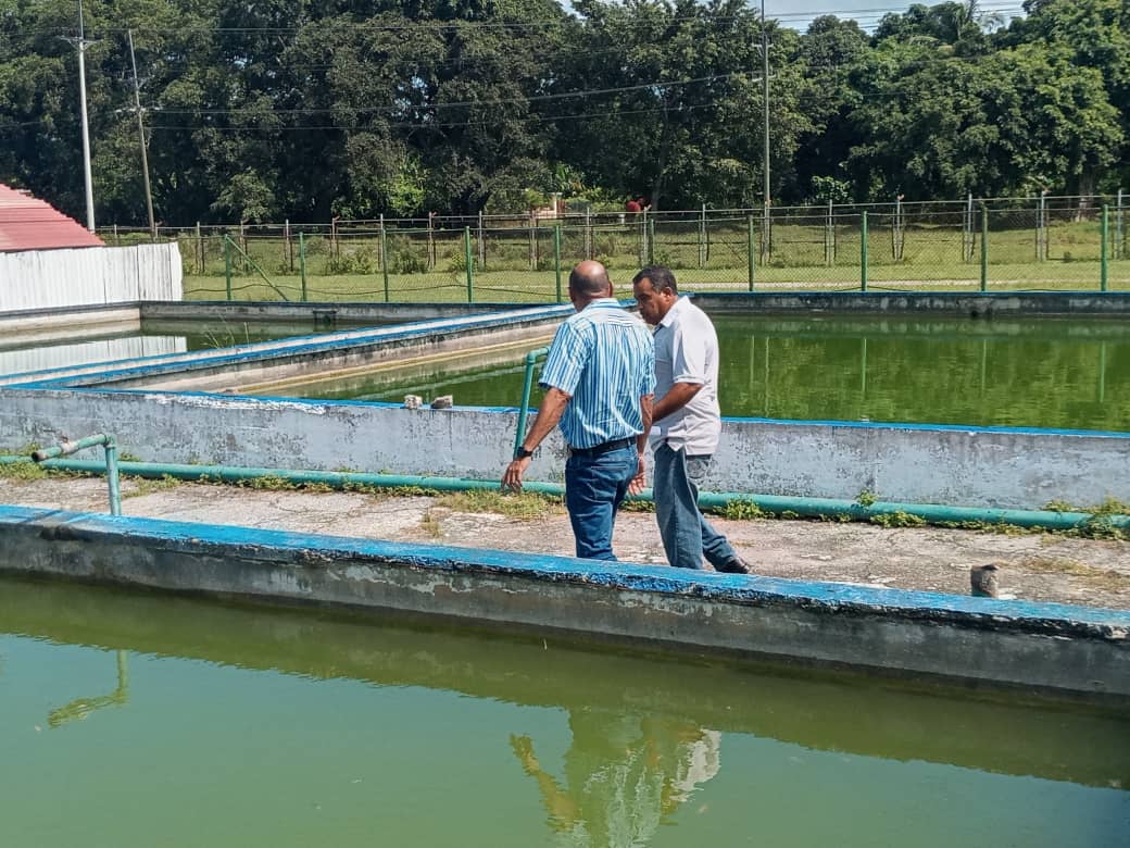AlbertoLopezcu's tweet photo. Visitamos la Empresa de Desarrollo de Tecnologías Acuícola enclavada en el municipio del Cotorro, apreciamos falta de resultados y control.
Están carentes además de una estrategia para aprovechar las potencialidades con que cuenta
Hicimos un llamado al orden.
#MinalXMásAlimentos https://t.co/UIbw59p58R