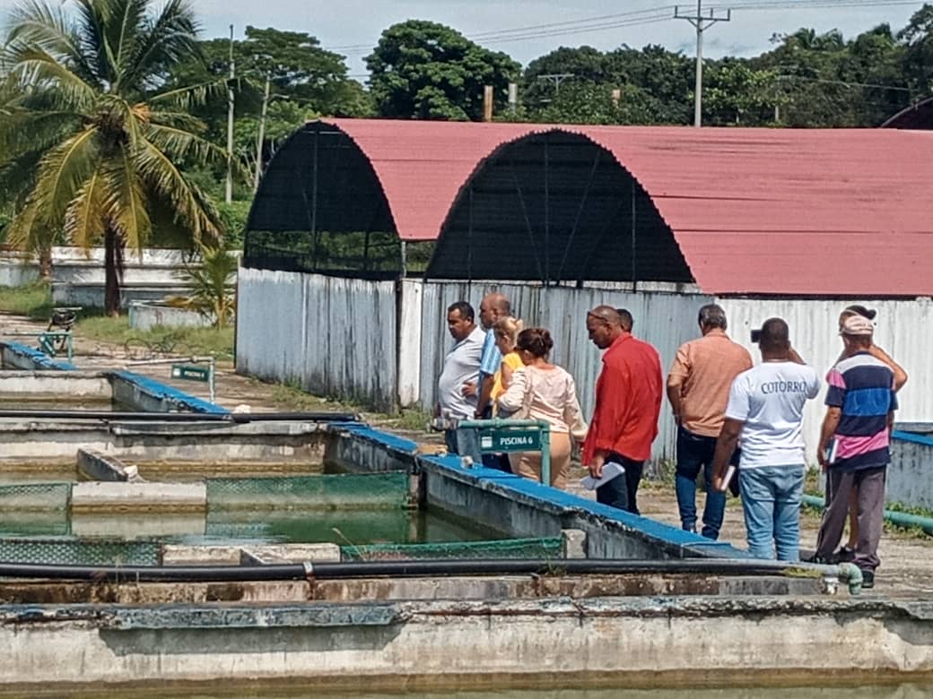 AlbertoLopezcu's tweet photo. Visitamos la Empresa de Desarrollo de Tecnologías Acuícola enclavada en el municipio del Cotorro, apreciamos falta de resultados y control.
Están carentes además de una estrategia para aprovechar las potencialidades con que cuenta
Hicimos un llamado al orden.
#MinalXMásAlimentos https://t.co/UIbw59p58R