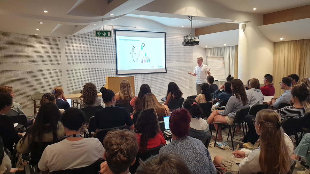 HydraSchool's tweet image. On the first evening of #SCSS2024 we enjoyed a lively discussion, trying to find out if could all agree on the defining features of a stem cell
Now @kim_bak_jensen turns our brains inside out by presenting beautiful data that makes us question the very concept of a stem cell