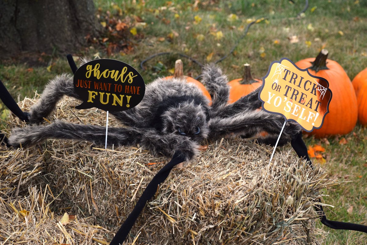 Can't wait for the <a href="/LugliJohn/">John Lugli</a> 7th annual #pumpkin #giveaway! Come out &amp; join us for this spook-tacular #event! Saturday, October 5th from 10-12pm. Food, hot drinks, treats, temporary tattoos &amp; more! It's sure to be another fun day!