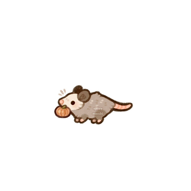 Spicymochi tweet media