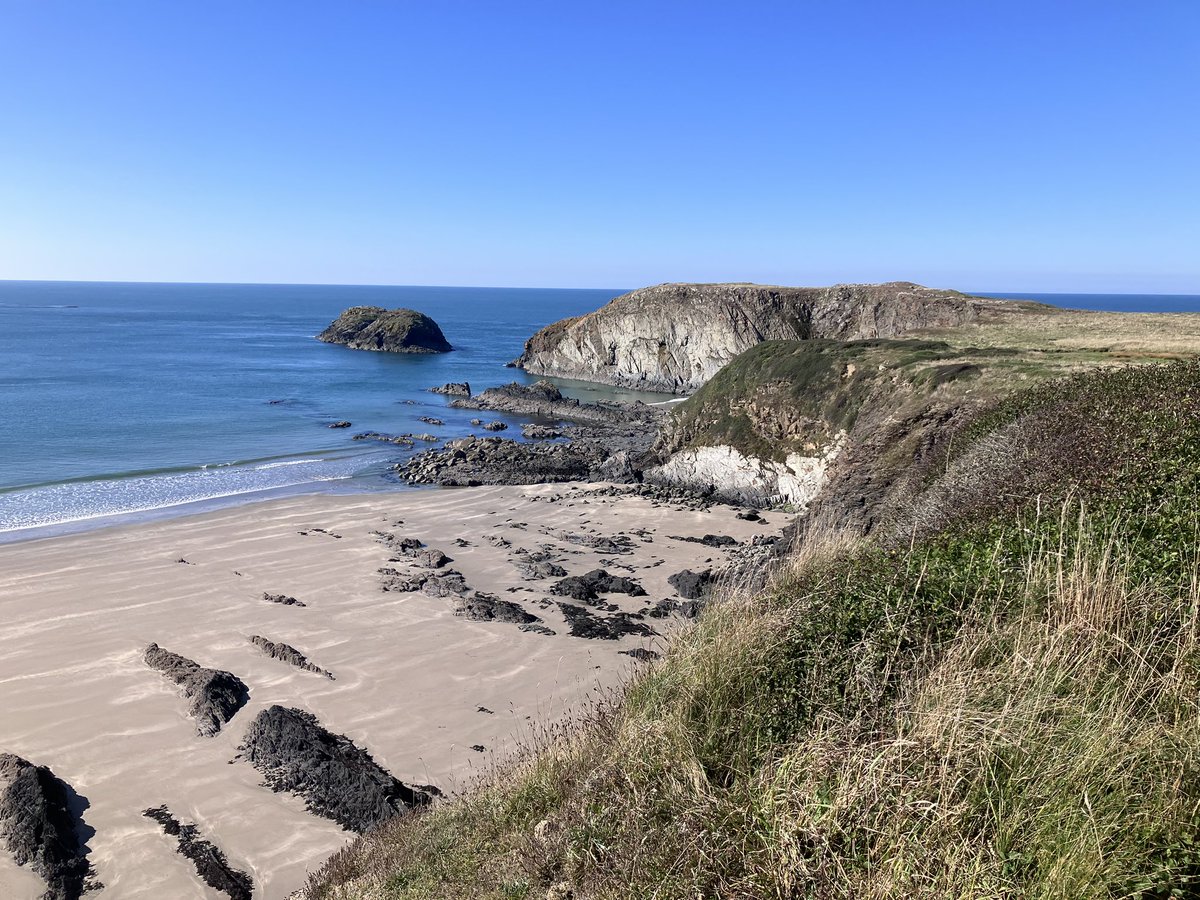 Glorious weather in west Wales, quiet beaches, choughs &amp; seals. Hoping for bats this evening