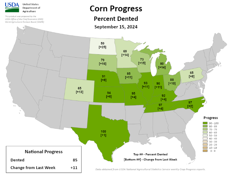 hedgeit's tweet photo. #Corn #Dented https://t.co/A0xdAOX3xO