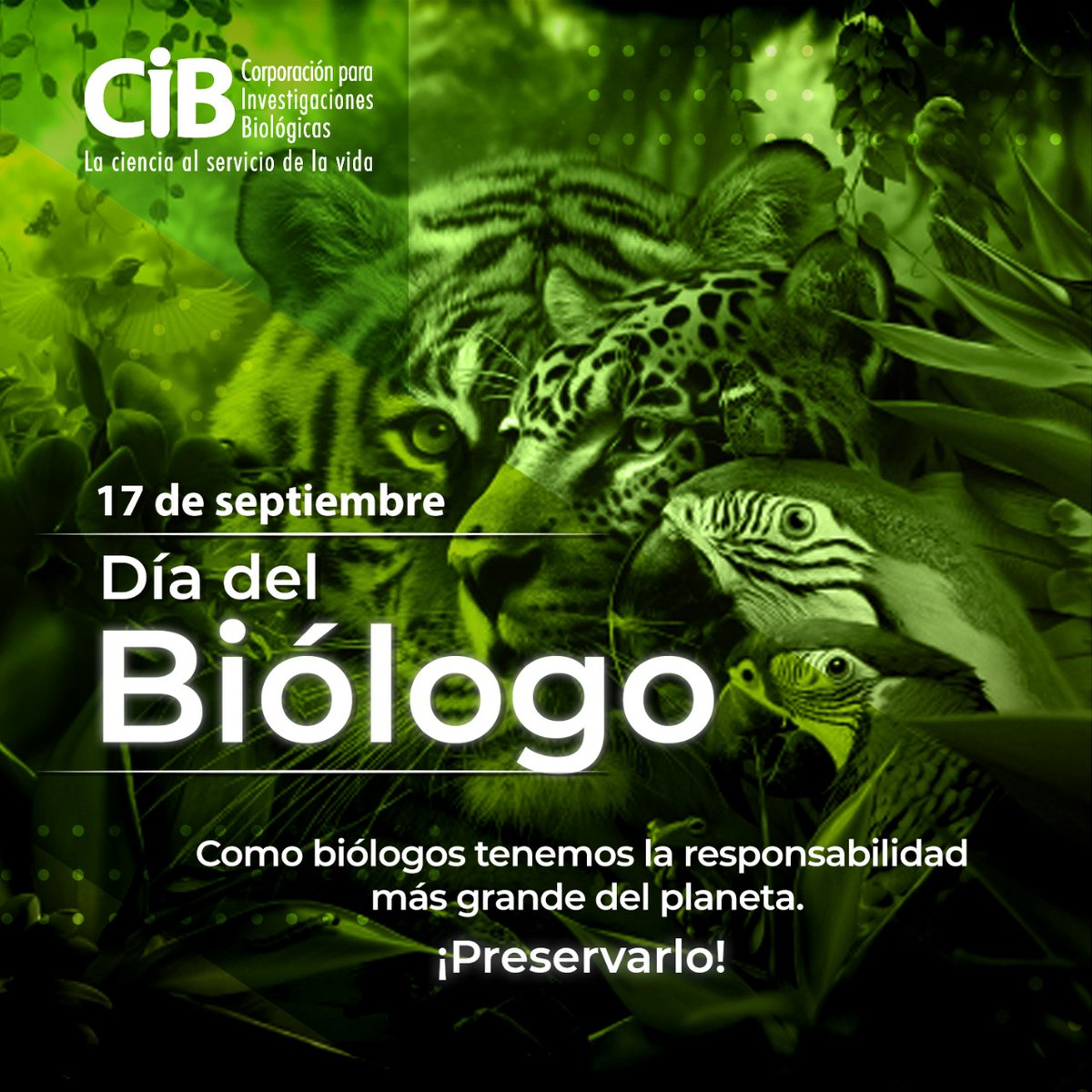 💚🌎¡Feliz Día del Biólogo! celebramos a quienes dedican su vida a explorar y comprender la diversidad de la vida en nuestro planeta. Gracias a su incansable labor, descubrimos los secretos de la naturaleza y trabajamos por la conservación de nuestro entorno.