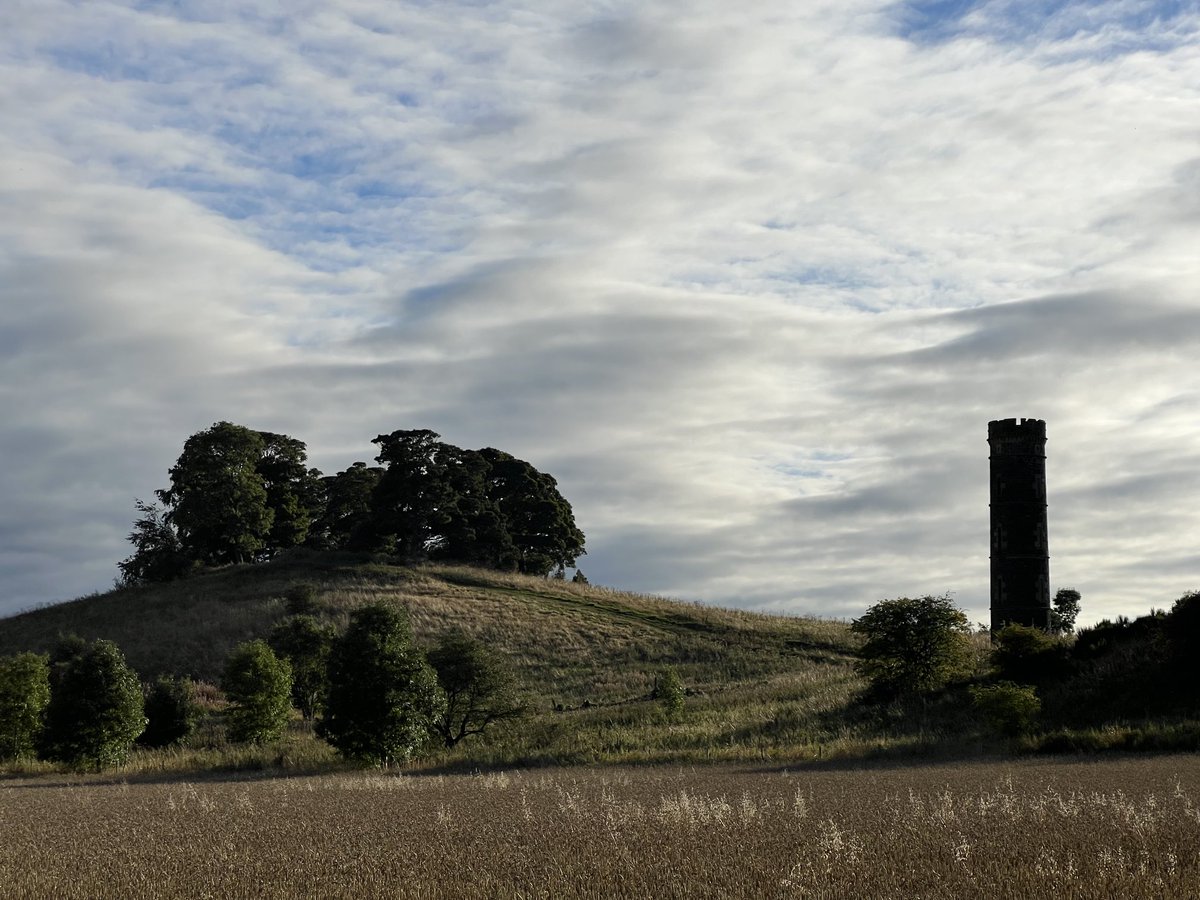 dnmnsmith's tweet image. Cammo 20240917PM #cammo #edinburgh #cyclecommuting #photography