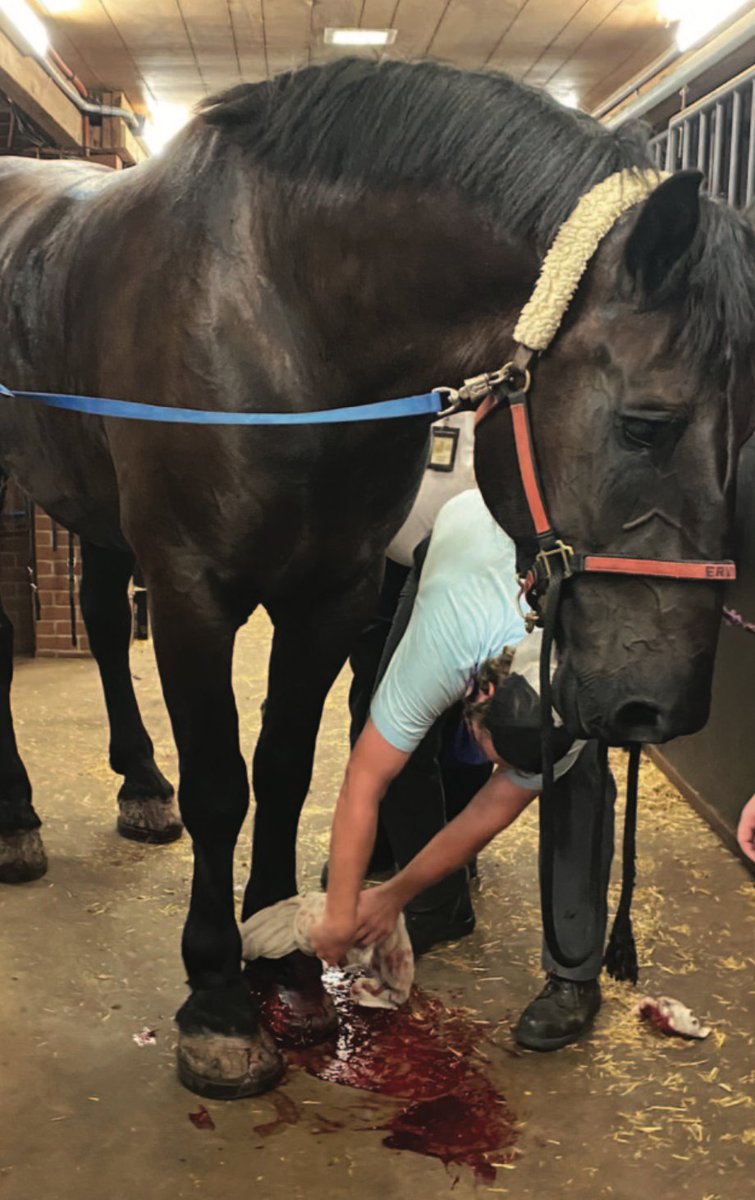 Jodie Wiederkehr tweet media