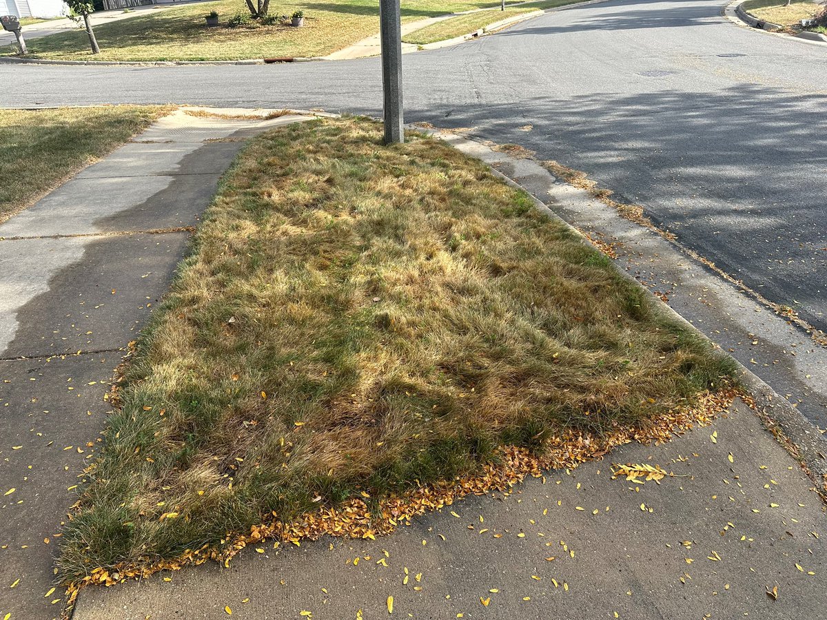 Landmark Seed Company tweet media