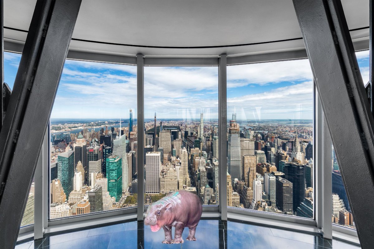 Empire State Building tweet media