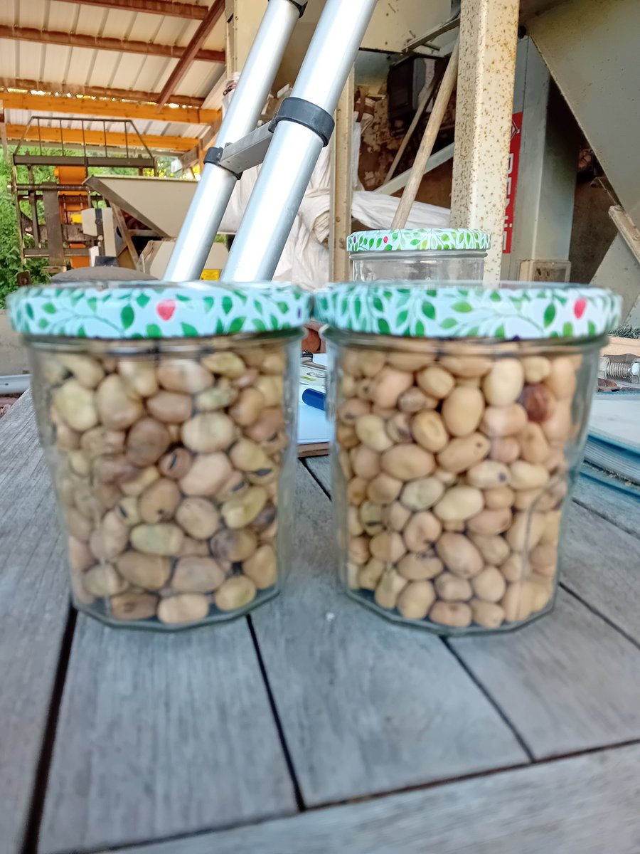 GUYOT Vincent tweet media