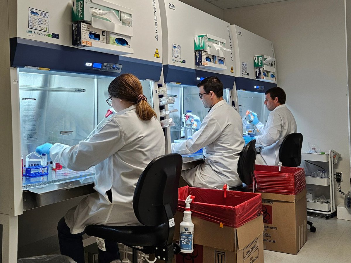 Chordoma Foundation (@chordomafdn) on Twitter photo Science moves faster when we share. 🔬⚡ That's why as often as we can, we upload data generated by <a href="/CFLabsResearch/">Chordoma Foundation Labs</a> to a public data repository called Figshare, allowing other researchers and companies to build on our results months or even years faster than the norm in research, Science moves faster when we share. 🔬⚡ That's why as often as we can, we upload data generated by <a href="/CFLabsResearch/">Chordoma Foundation Labs</a> to a public data repository called Figshare, allowing other researchers and companies to build on our results months or even years faster than the norm in research,