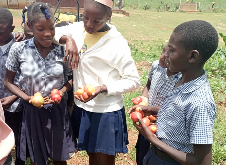 HOPE International Development Agency tweet media