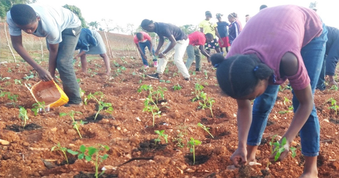 HOPE International Development Agency tweet media