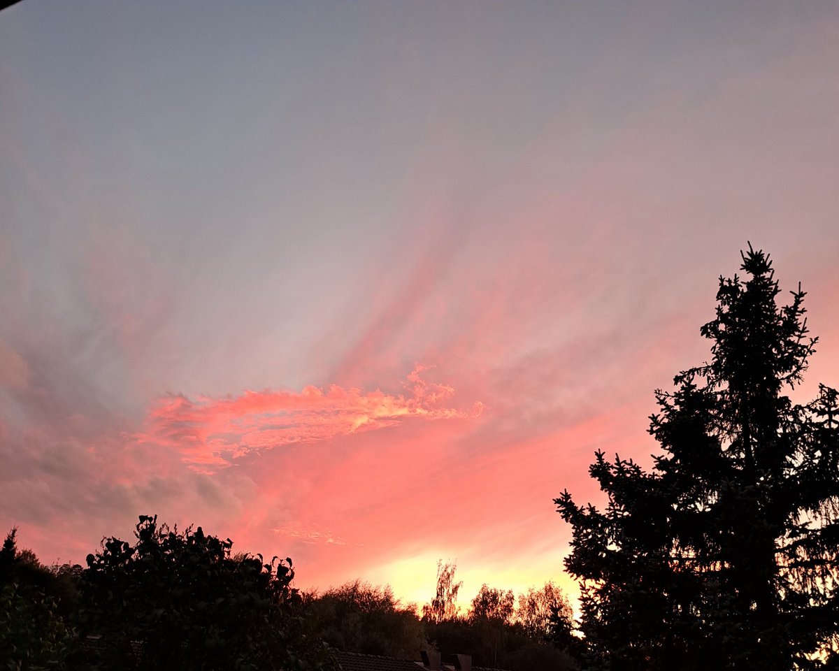 Terve kamut! Onko teilläkin tällainen palava taivas, joka muuttuu hetki hetkeltä.🤩🐾