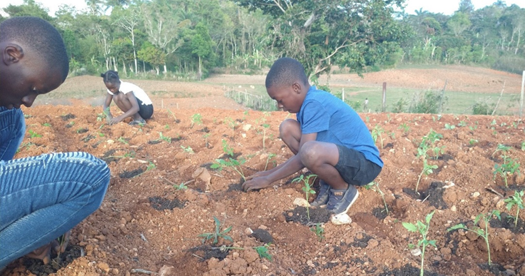 HOPE International Development Agency tweet media