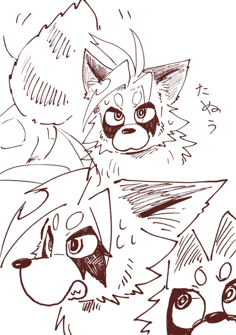 たぬぅ… 