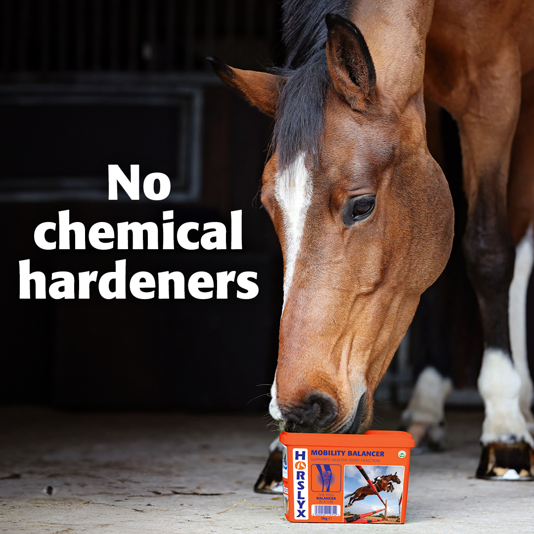 ❌There's No Nasties in Horslyx Balancers! ❌

Horslyx Balancers are free from artificial preservatives and colours, ensuring only the best for your horse.