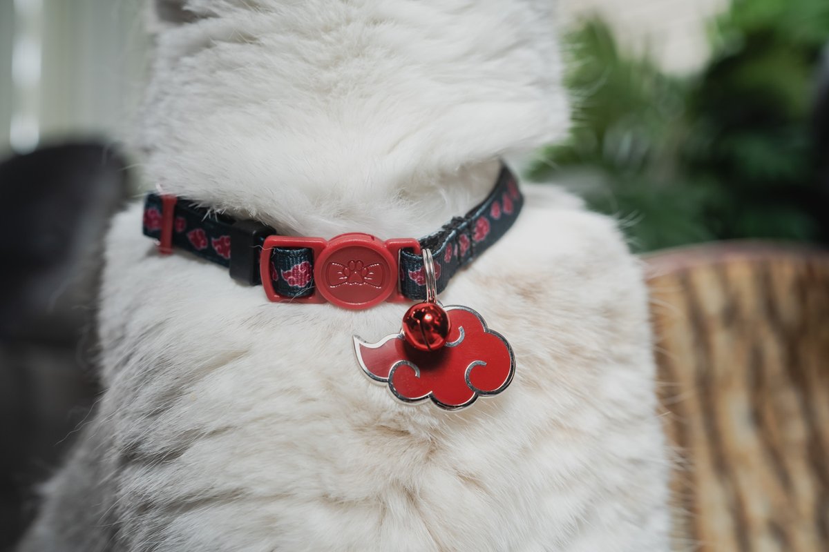Pawsonify's tweet photo. Is your pet ready to join the ranks of the Akatsuki? Suit them up with the iconic red cloud symbol! 🌩️
#NarutoShippuden #NarutoFan #NarutoCosplay #NarutoPets #HakuNaruto #Pawsonify #PetCosplay #AnimePets #PetFashion #AnimeInspired #PetAccessories #PetStyle #CosplayPets https://t.co/kO2zu88eNv