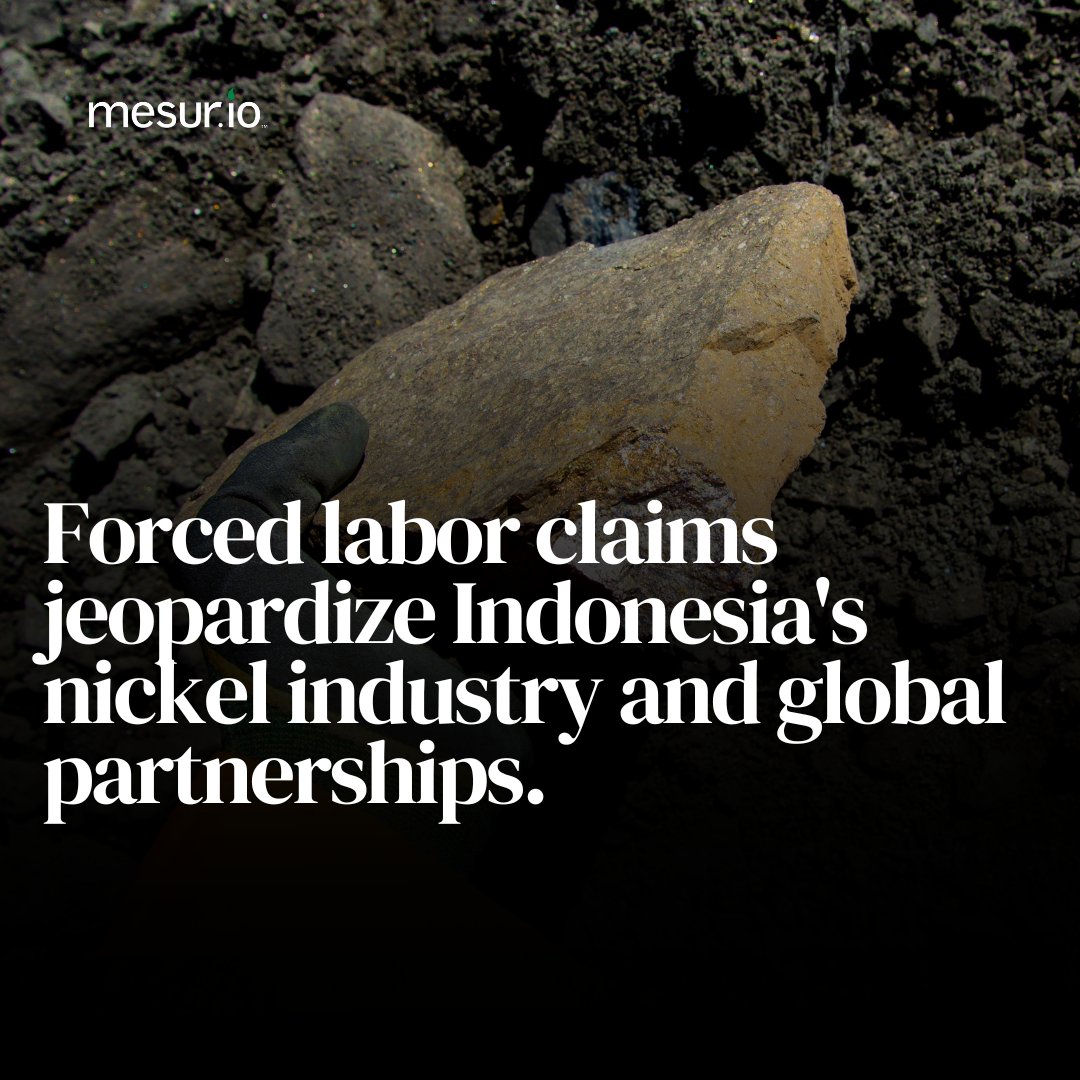 mesur.io tweet media